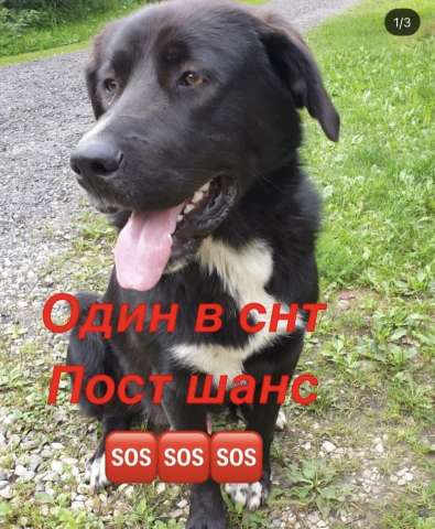 В добрые руки В добрые руки
