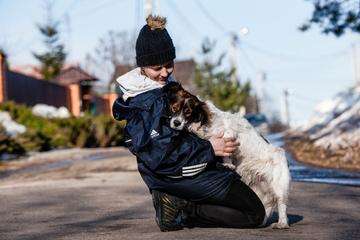 Белый метис спаниеля и папильона Стивен в добрые руки Белый метис спаниеля и папильона Стивен в добрые руки