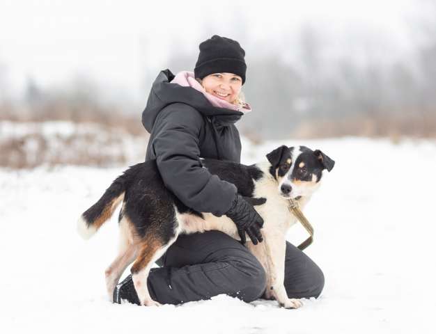 Спокойный и послушный пёс Локи ищет дом Спокойный и послушный пёс Локи ищет дом