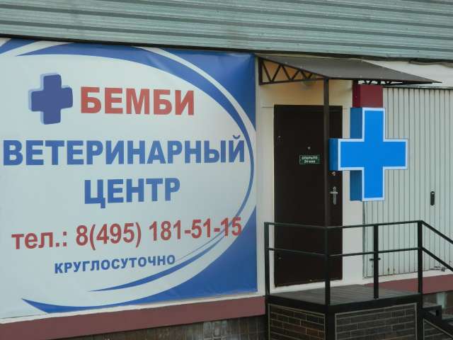 Зоогостиница в Чертаново Зоогостиница в Чертаново