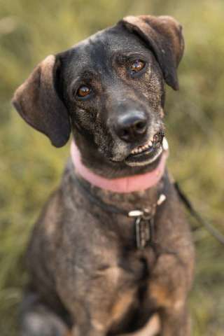 Люся ищет свою вселенную! Люся ищет свою вселенную!