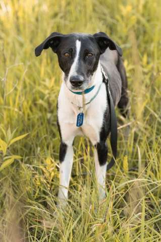 Тихон нуждается в новой истории! Тихон нуждается в новой истории!