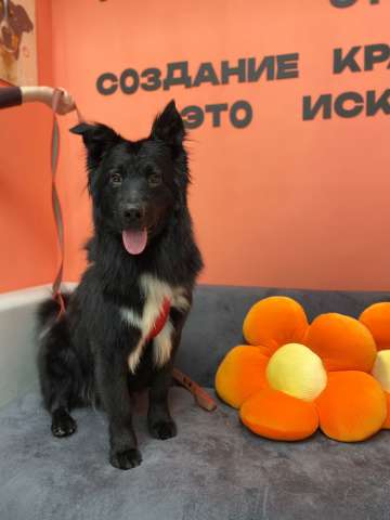 Познакомьтеcь c Mариком