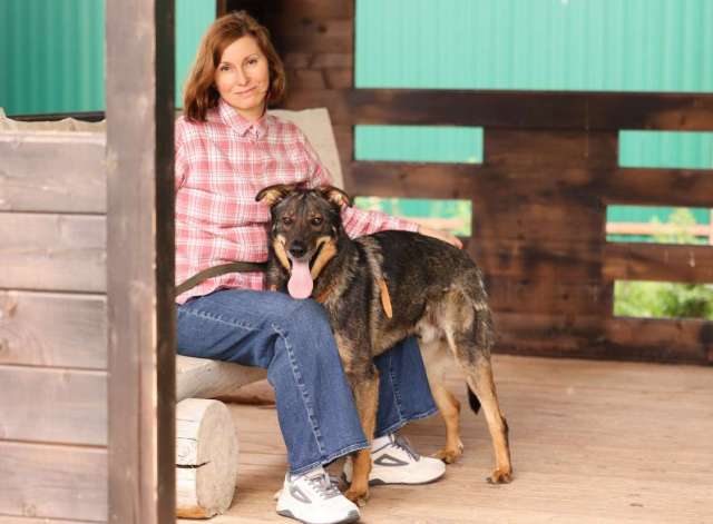 Общительный и ласковый пёс Енисей в добрые руки Общительный и ласковый пёс Енисей в добрые руки