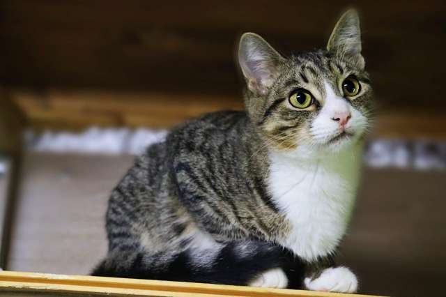 Прекрасный парень Умик Прекрасный парень Умик