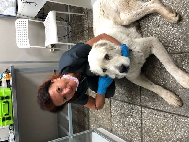 Ветеринарный врач офтальмолог на Каховке.