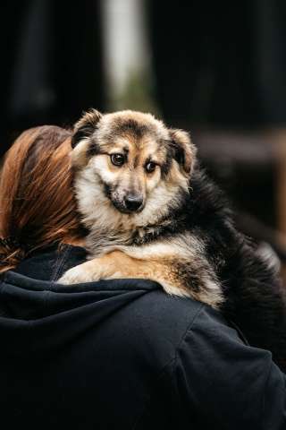 Гэлакси, девочка, в чьих глазах целая вселенная