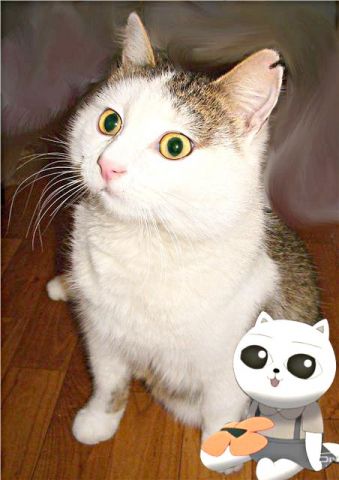 Котик Кузенька – мультяшный персонаж. Кому забавное чудо? Котик Кузенька – мультяшный персонаж. Кому забавное чудо?