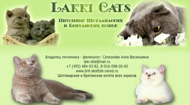 Добро пожаловать  на сайт питомника "Lakki-cats" 