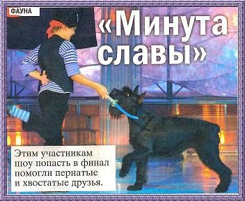 Щенки ризеншнауцера Щенки ризеншнауцера