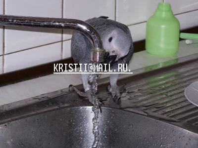 5 мес. жако. 5 мес. жако.