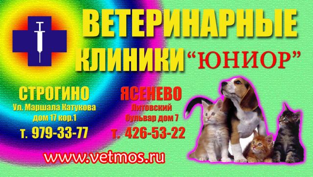 Ветеринарные клиники Москвы и Московской области, ветклиники Юниор Ветеринарные клиники Москвы и Московской области, ветклиники Юниор