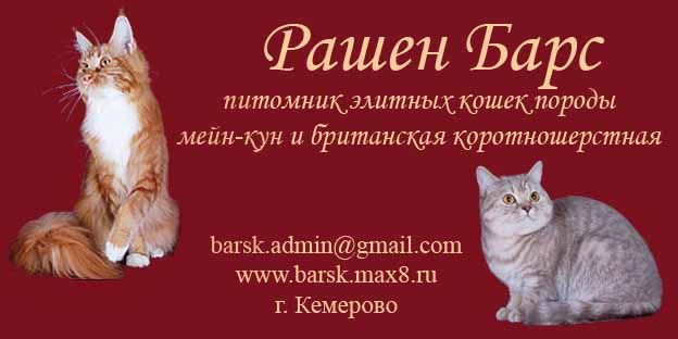 Питомник РАШЕН БАРС Питомник РАШЕН БАРС