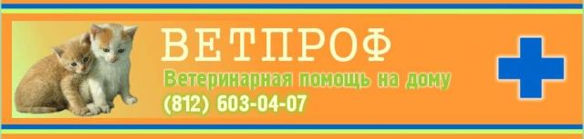 Ветеринарная помощь 24 часа в сутки. СПб и Лен.обл.