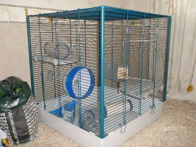 клетки клетки