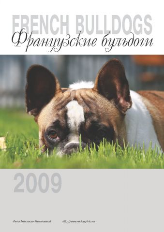 Приглашаем собак различных пород для участия в Календаре на 2010 год!