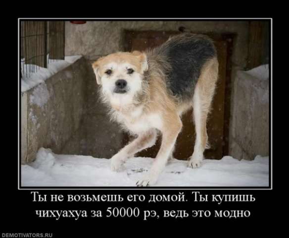 Люди задумайтесь!!! Люди задумайтесь!!!