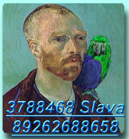 Амазоны, Жако, Ары, Какаду, Эклектусы и много др. попугаев в продаже. Корм, Клетки, минералы. Амазоны, Жако, Ары, Какаду, Эклектусы и много др. попугаев в продаже. Корм, Клетки, минералы.