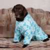 комбинезоны и халаты для собак