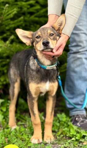 Маленькая принцесса Рита с умными глазами в поисках своего дома Маленькая принцесса Рита с умными глазами в поисках своего дома