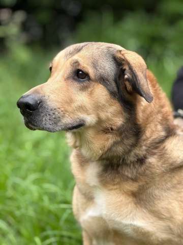 Тюбик очень ждет свою семью! Тюбик очень ждет свою семью!