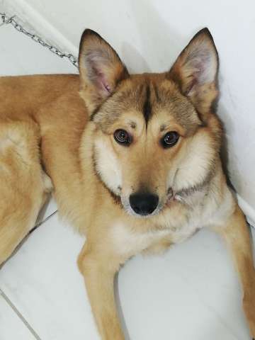 Джек ищет свой дом