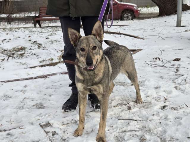 Ганя ищёт свой дом!