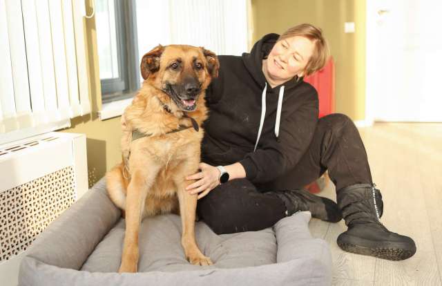 Благодарный добряк пёс Родман в приюте