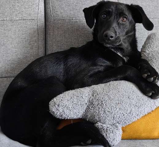 Наоми - твоя будущая радость!