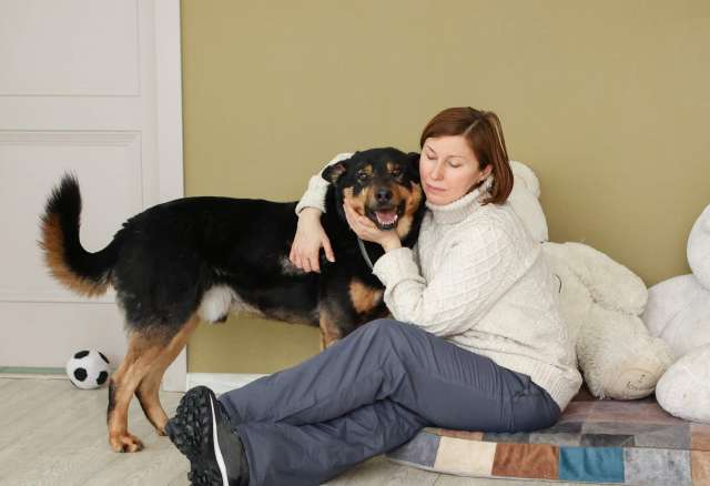 Общительный и ласковый пёс Баграй в добрые руки