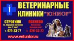 Ветеринарные клиники Москвы и Московской области, ветклиники Юниор, ветпомощь